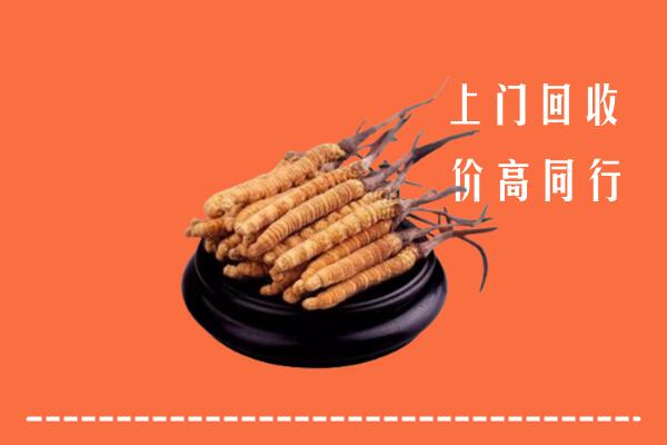 高价求购：文山州马关县回收散虫草