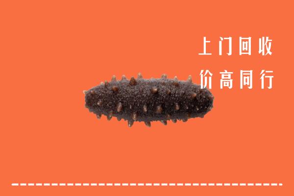 高价求购：文山州马关县回收海参