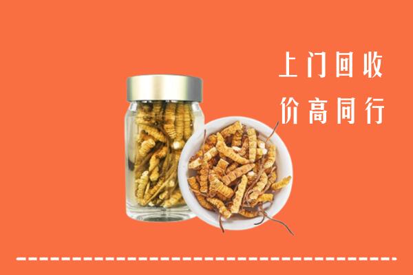 文山州马关县回收冬虫夏草