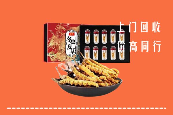 文山州马关县回收虫草